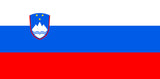 SONY ALPHA α100 DSLR-A100 DIGITAL SINGLE LENS REFLEX CAMERA PRIRUCKA POUZIVATEL'A RIESENIE PROBLEMOV 156 PAGES SLOVENIAN