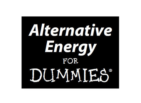 ALTERNATIVE ENERGY FOR DUMMIES 388 PAGES IN ENGLISH