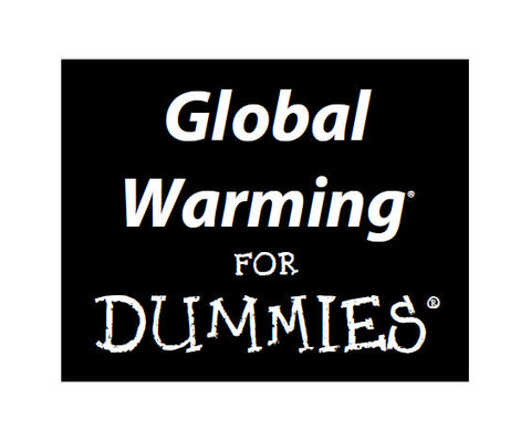 GLOBAL WARMING FOR DUMMIES 387 PAGES IN ENGLISH