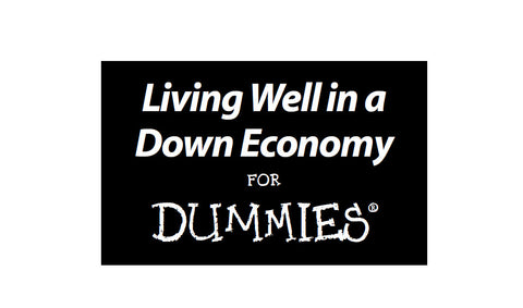 LIVING WELL IN A DOWN ECONOMY FOR DUMMIES 351 PAGES IN ENGLISH