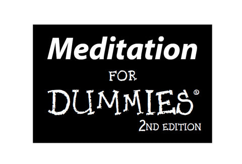 MEDITATION FOR DUMMIES 384 PAGES IN ENGLISH
