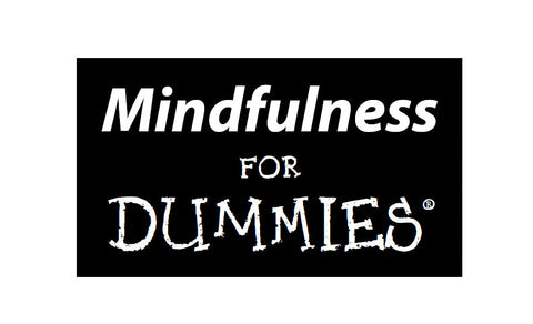 MINDFULNESS FOR DUMMIES 340 PAGES IN ENGLISH