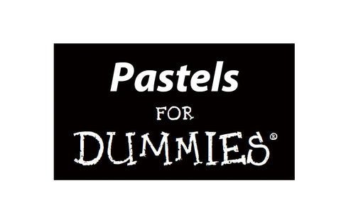 PASTELS FOR DUMMIES 323 PAGES IN ENGLISH